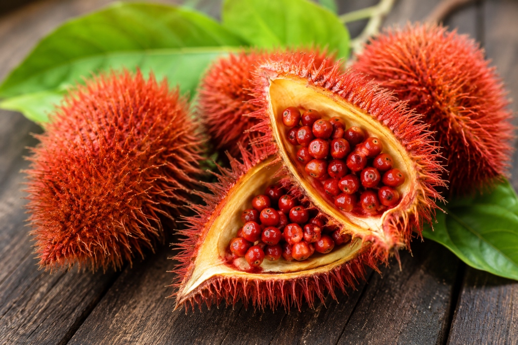 Annatto achiote seeds rich in delta tocotrienols